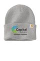 Carhartt Watch Cap 2.0 - CT104597